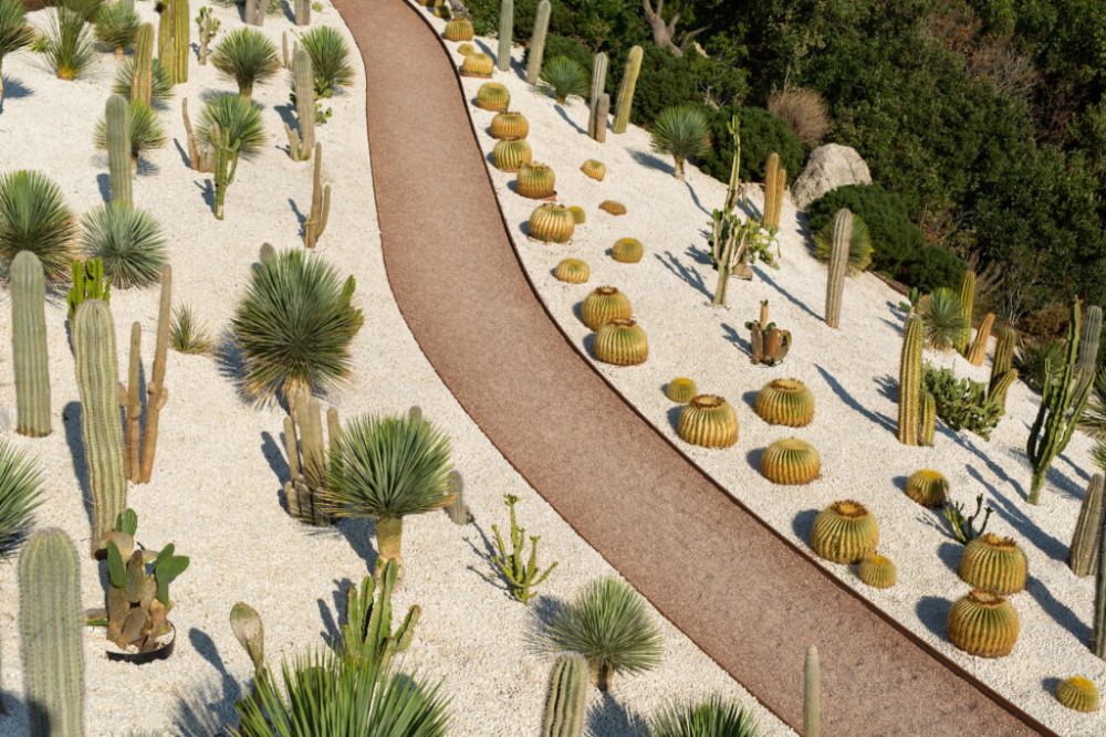 Path in tropical cactus gardens near the sea